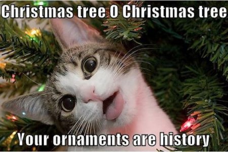 3005f905c8b25e8fc6bbb4c0d69a99a7[1].jpg