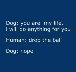 ball.jpg