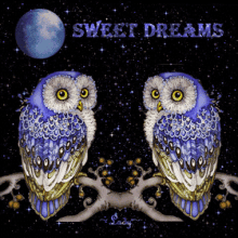 sweet-dreams-owl.gif