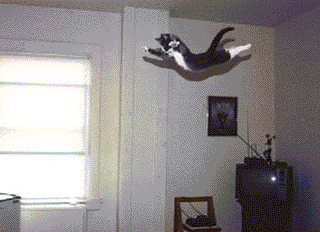 VIPq.gif