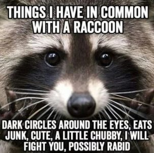 0d56c5317ea793dbc01138b16aa828c6[1].jpg