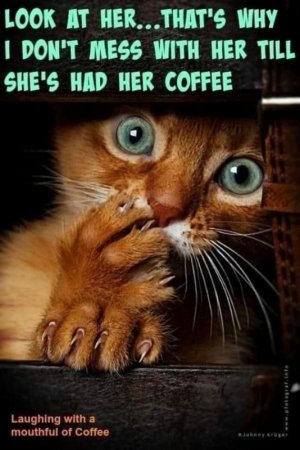 93a95b8e0b01bc0327d2e6b3beab4f79[1].jpg