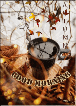 D9114E11-012F-4E85-BE6B-9A62E2453A3D.gif