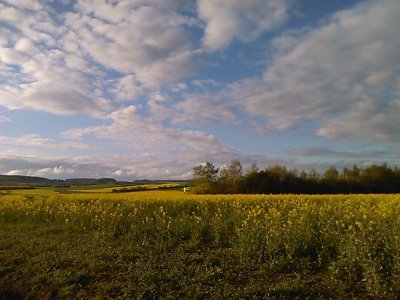 peace tr 09.jpg