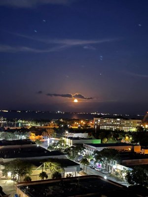 C372785E-E36B-4813-917F-6702403AB318.jpeg