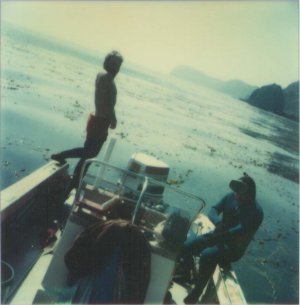 BW19(cropped).jpg