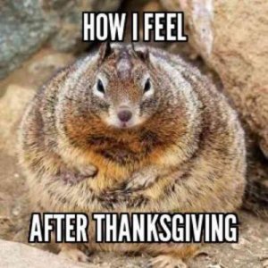 829c2454e9c191a98c40cd8859a79744[1].jpg
