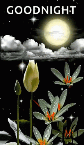 C5CC6AD7-6C09-45A1-948B-B7512DB32FBD.gif