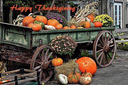 happy-thanksgiving-from-the-farm-maria-keady.jpg