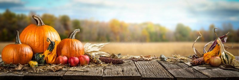 happy-thanksgiving-day-happy-thanksgiving-pumpkins-apples-corncobs-wooden-table-field-trees-sk...jpg