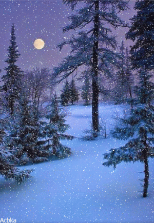 9554D9D6-C83B-441B-9EB1-F6A0AD6BB6DE.gif