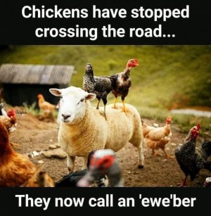 FB_IMG_1668939934970.jpg
