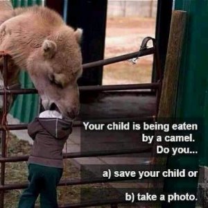 FB_IMG_1668929925415.jpg