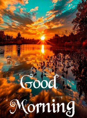 Good-Morning-nature-images-30.jpg
