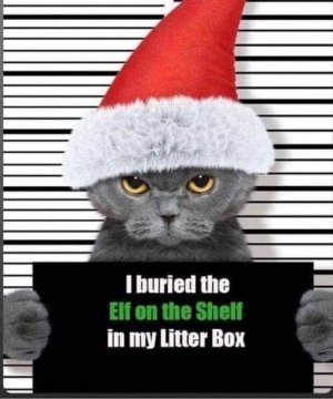 A1B4FB1F-43B9-4F99-AE5A-C82536548771.jpeg