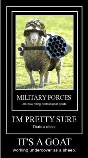 war-goats.jpg