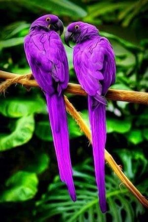 Tumblr_l_144693823536159.jpg