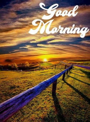 Good-Morning-nature-images-21.jpg