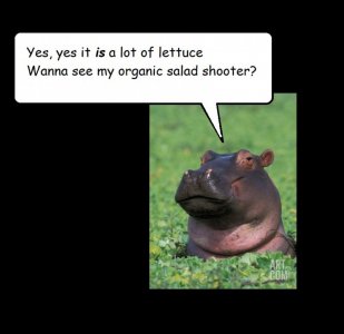 lettuce.jpg