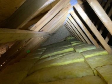 attic.jpg