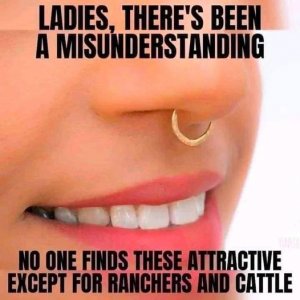 cattle.jpeg
