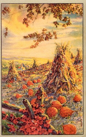 scene-2.jpg