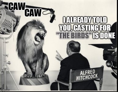 eeeee.JPG