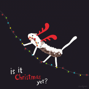 d79fbc6c2c12469c088c1039069c5682[1].gif