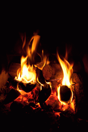 Tumblr_l_192641413010095.gif