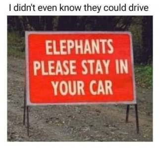 B574AD52-A546-4B76-AE77-588CEA8D9C82.jpeg