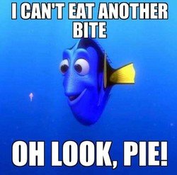 pie.jpeg