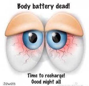 447ffd89bc65a5bb27824e32115e466d[1].jpg