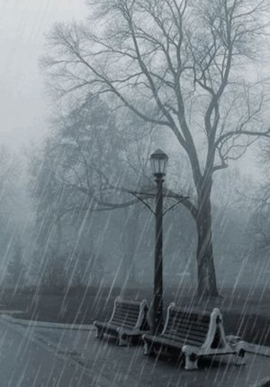 rain4.jpg