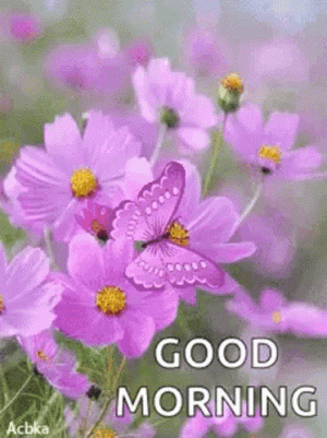 good-morning-flowers.gif