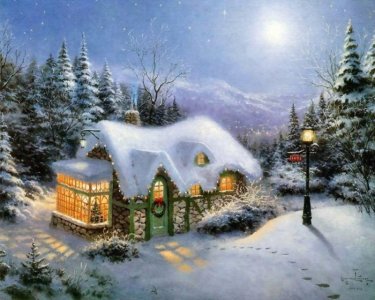 XMAScbn tr in window.jpg