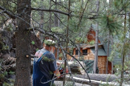 cutting fallen tree.jpg