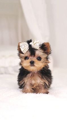 2f0f36ff9a60f62c01c72ad37fd61188[1].jpg