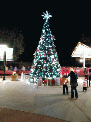 IMG_20131222_184806-TWINKLE.gif