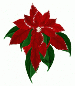 1669495041928.gif