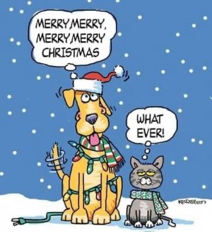1ee7f5faa0456f9544656487b6a370f5[1].jpg