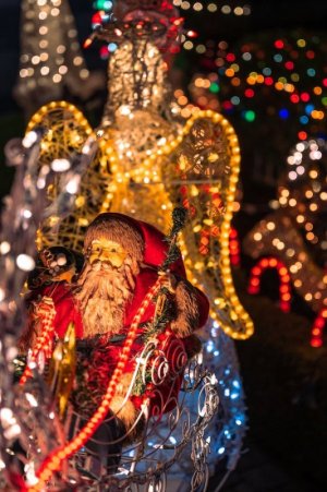 Christmas lights.jpeg