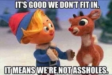 fit in.jpg