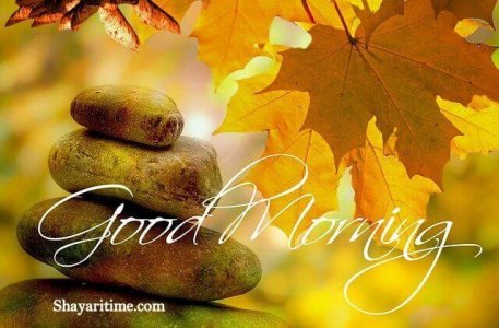 good-morning-gif (14) (1).jpg