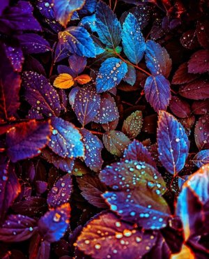 Tumblr_l_8709419692000.jpg