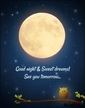 e98ebd230a395162f068a27794a5b405[1].gif