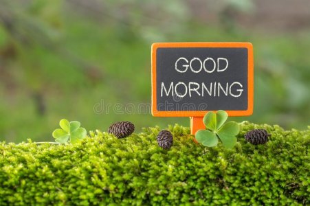 good-morning-text-small-blackboard-sign-green-moss-clover-blur-green-tree-plant-background-goo...jpg