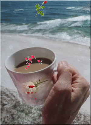 8FEB4F91-4E3E-46BF-8742-3F9E57105E5D.gif