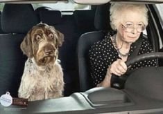 driving.jpg