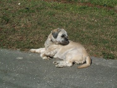 1 butters      1-15-22.JPG