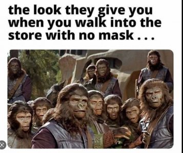 59847.JPG